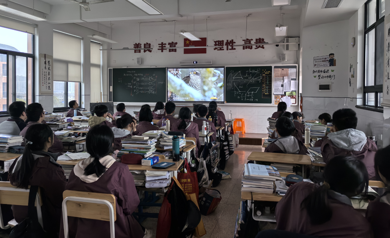 配图6