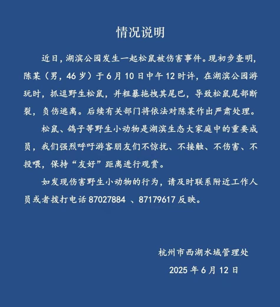 配图1