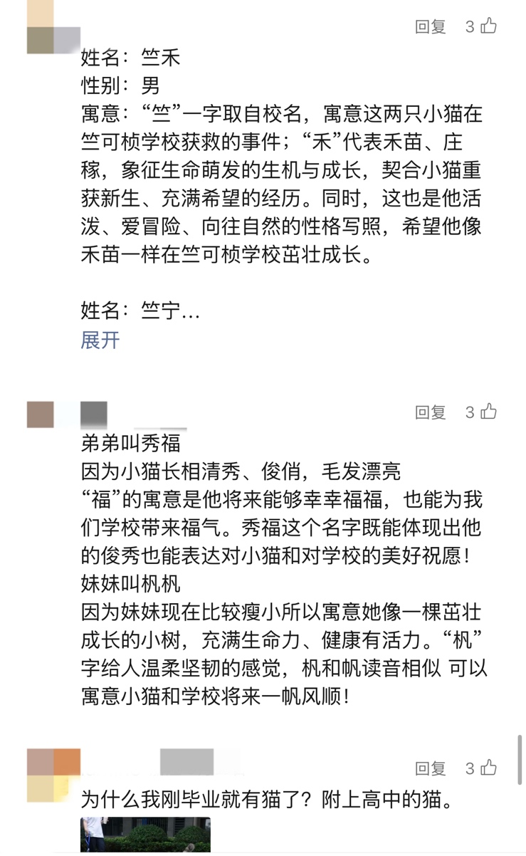 配图7