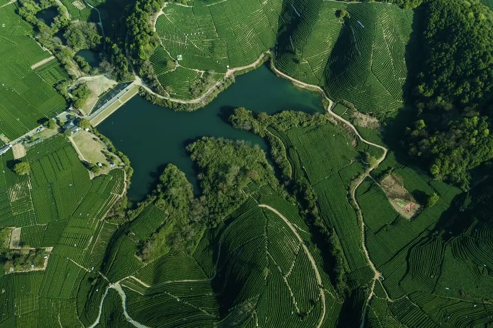 图|龙坞茶镇美景