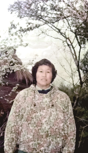 刚结束流浪生涯的丁雪莲