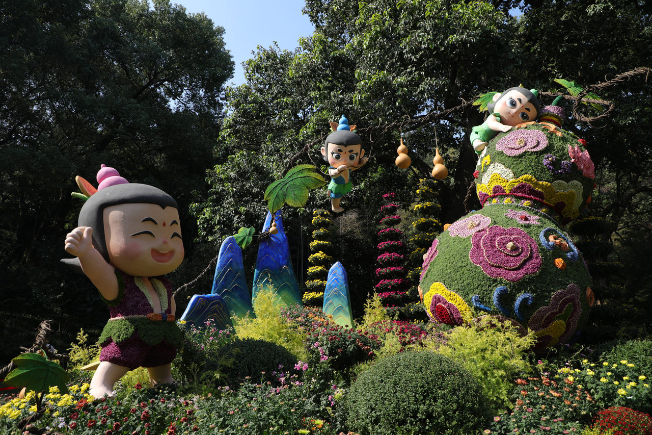 杭州植物园菊花艺术展今天开幕。潮新闻记者 俞刘东 摄