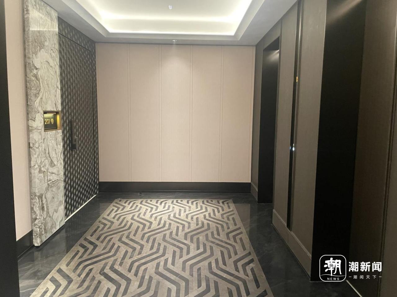 元起观潮府270㎡电梯厅