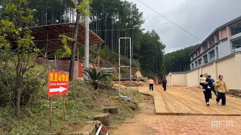 动物园的上山标识(央广网发 龙艺 摄)