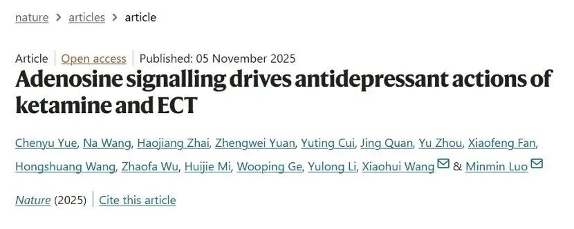 论文刊发截图。北京脑科学与类脑研究所供图