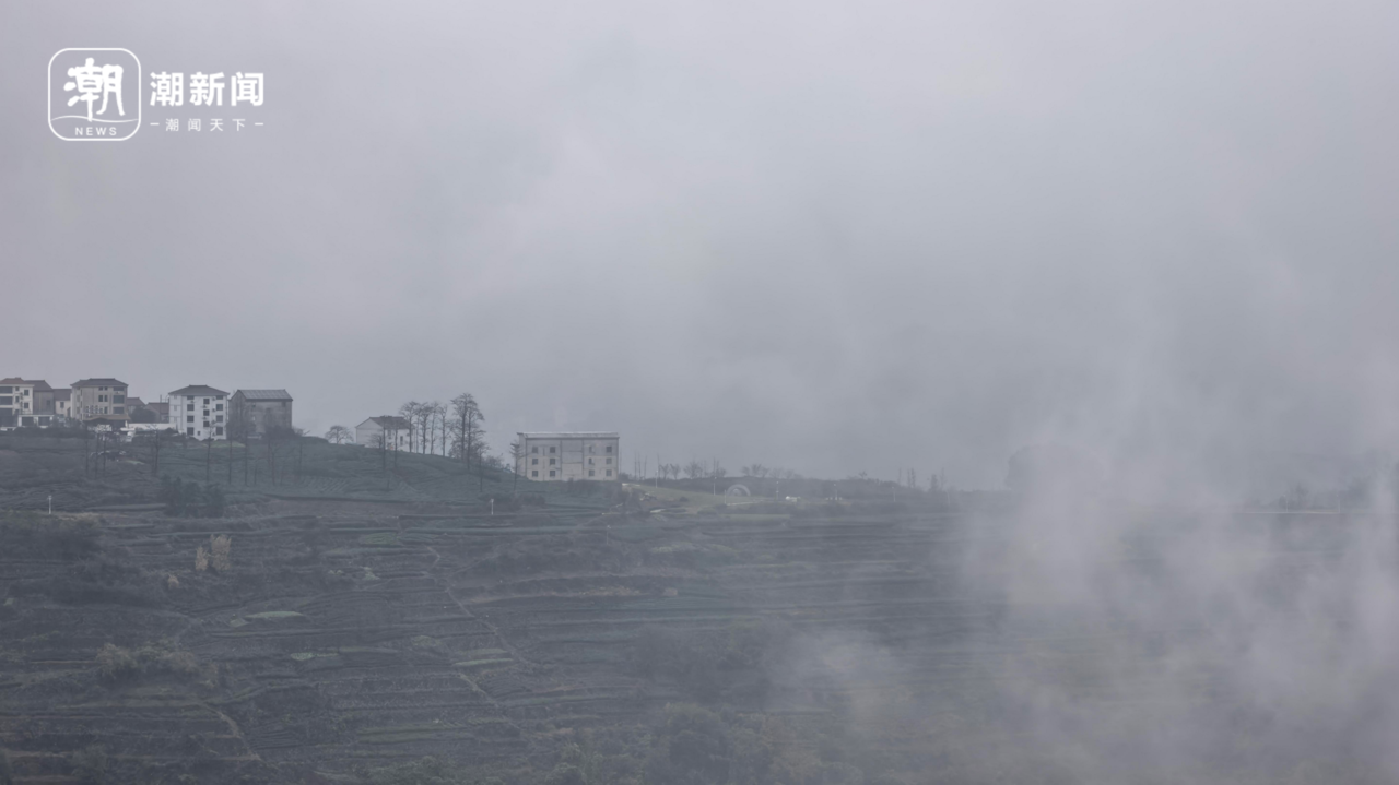 11月12日,受台风外围影响,浙江出现大范围降雨。记者 俞刘东 摄