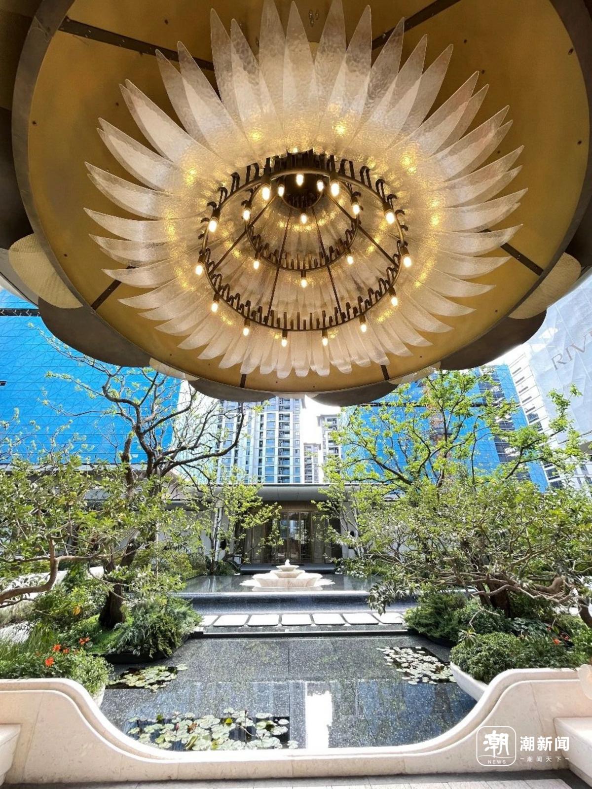 蕙澜月华 詹慧雯/摄