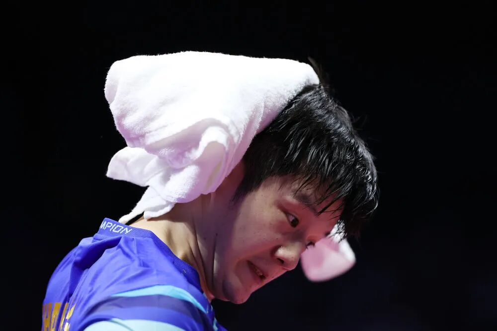 △ 11月15日,樊振东在比赛中。新华社记者 刘续 摄