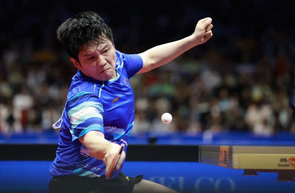 △ 11月15日,樊振东在比赛中回球。新华社记者 梁旭 摄