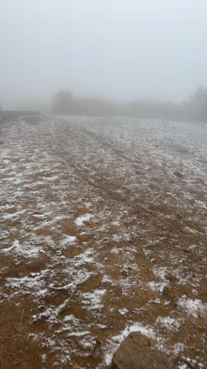 12月3日,临安太子尖的雪。潮新闻资料图