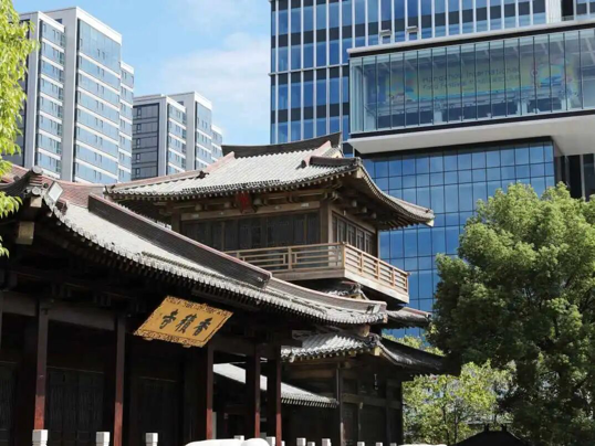 配图6