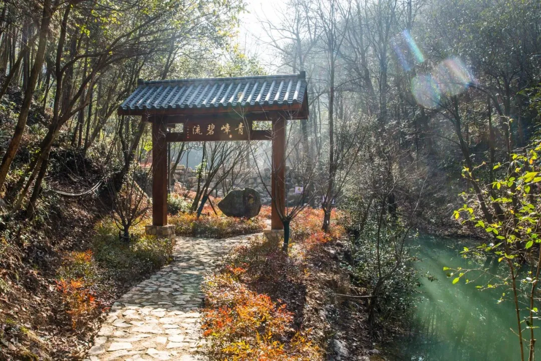 配图9