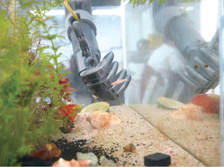 泡在鱼缸里的灵巧手 记者 徐萌 摄