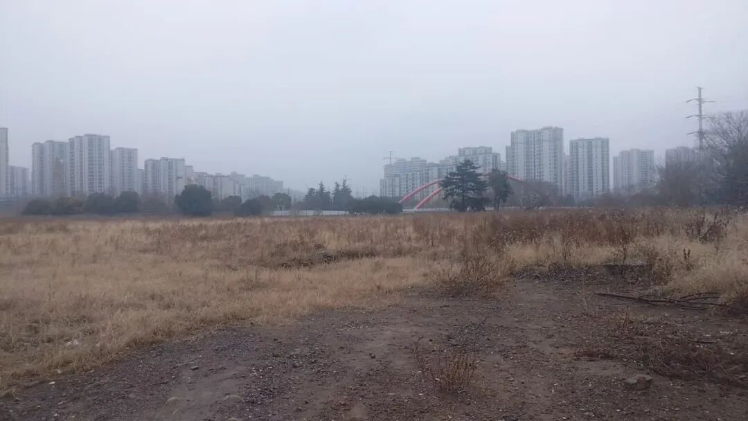 (1号地块实景图)