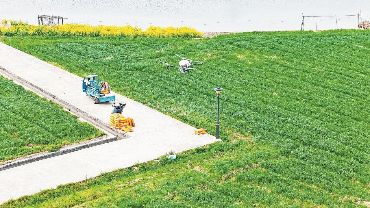 村民操作无人机为小麦施肥。图源 绍兴日报
