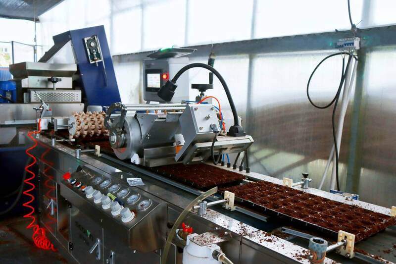 秧盘播种成套系统运转中。图源 共享联盟·鹿城