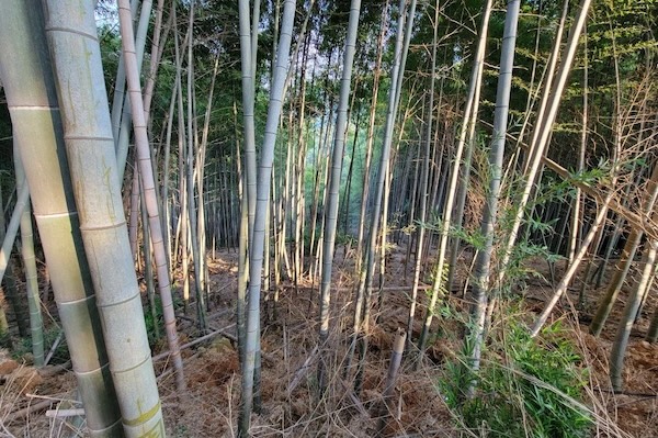 寺坞岭1.jpg