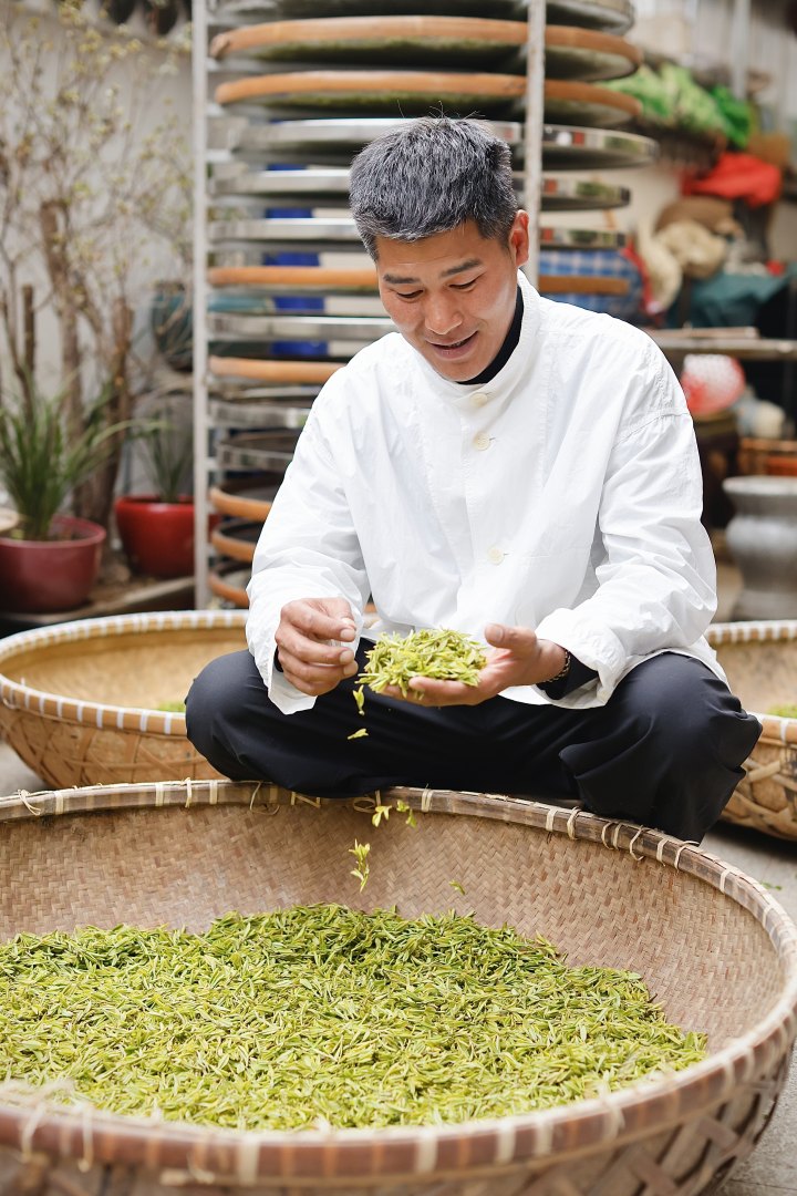 孙斌介绍狮峰龙井的炒制工艺