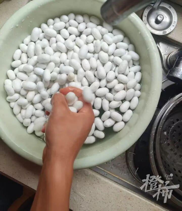 蚕茧表层蚕丝剥干净后清洗
