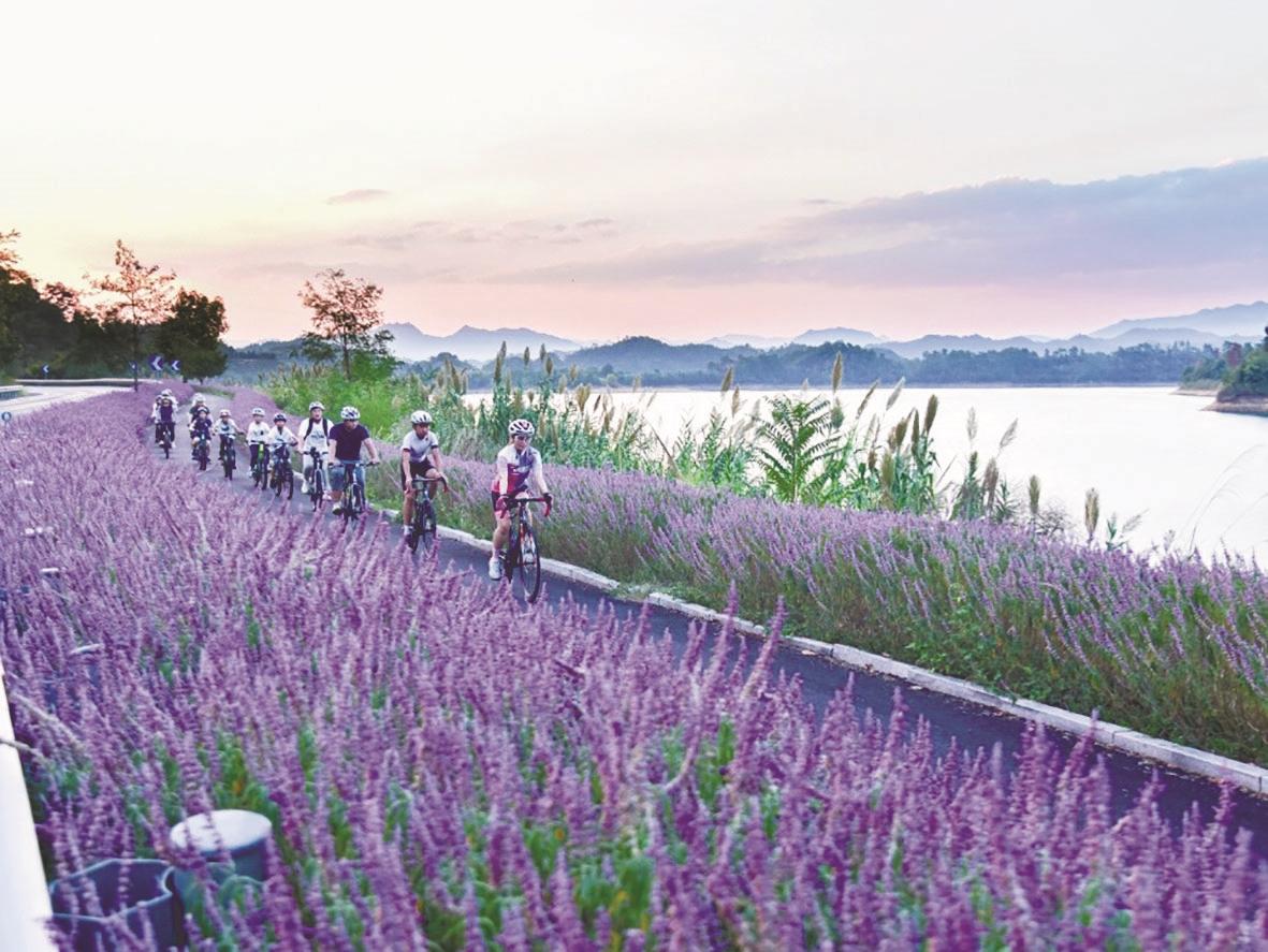 千岛湖风景区 市生态环境局供图