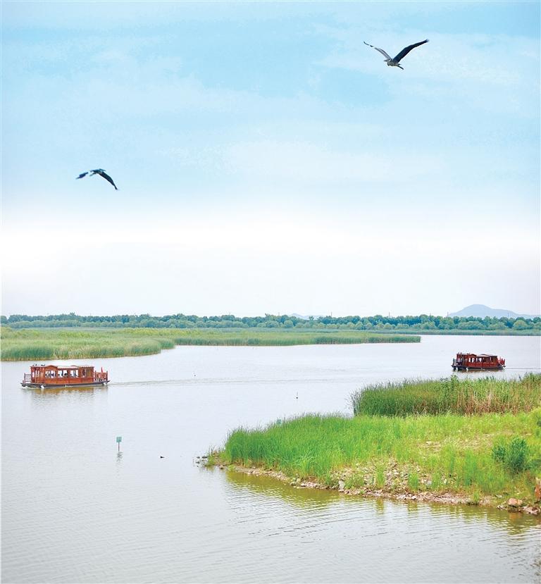 钱塘大湾区湿地公园南湖