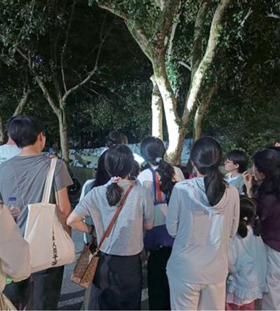夜观萤火虫和小动物的大人孩子