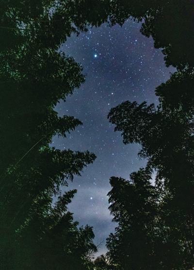 7月17日晚,在临安浙西大峡谷附近竹林间拍摄的星空。 记者 陈中秋 摄