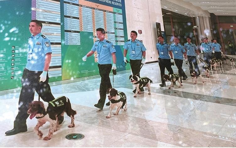 去年第五届世界生物圈保护大会时,杭州警犬现场执行安检排爆任务,左一为指导员翁磊。