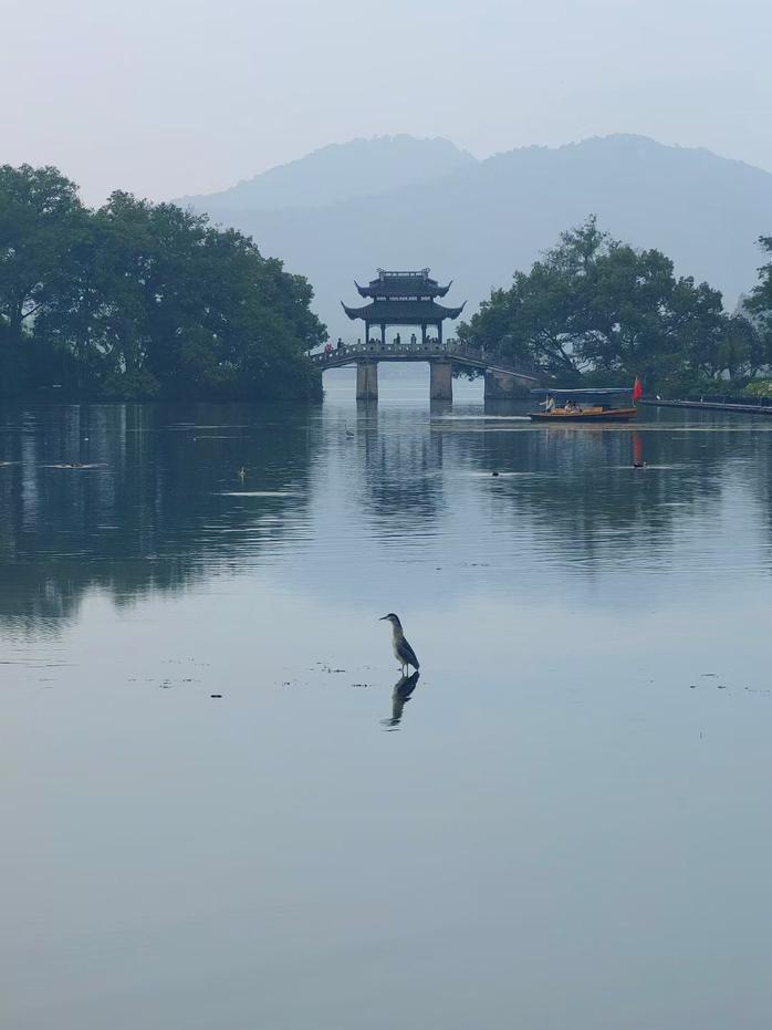 配图5