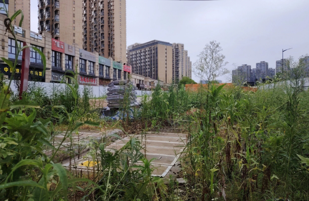 白洋站B口工地现状