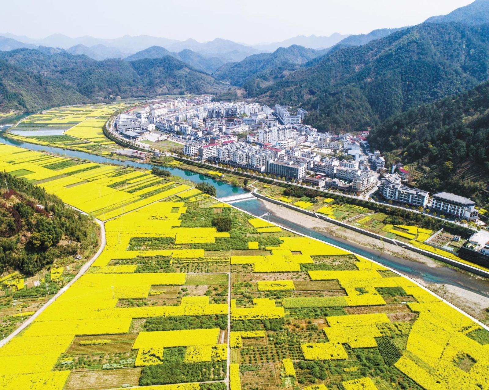 淳安县临岐镇(临岐镇供图)