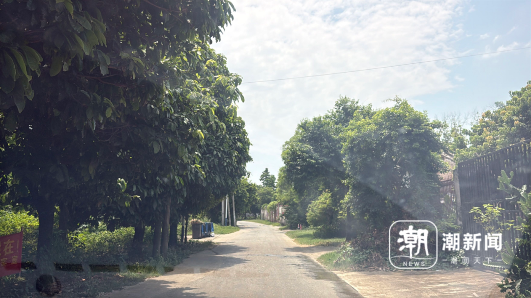 张某岸生活的村。 潮新闻记者 李沐子 摄