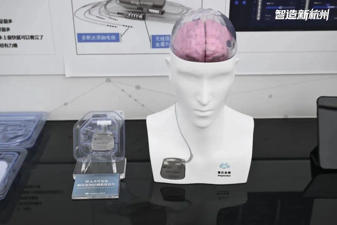 植入式可充电脑深部神经刺激器套件