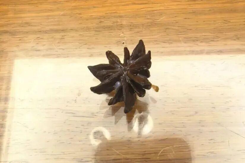图为黄女士当天发现的莽草