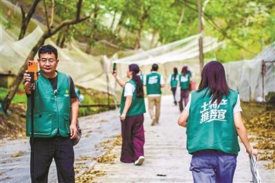 供销青年化身土特产推荐官,把最真实的丰收场景搬进直播间。 杭州市供销社供图