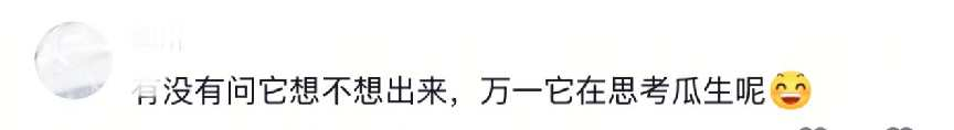 配图5